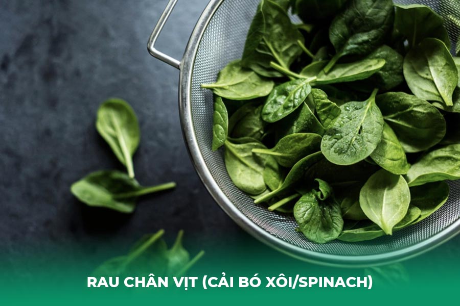 Rau Chân Vịt (Cải Bó Xôi/Spinach)