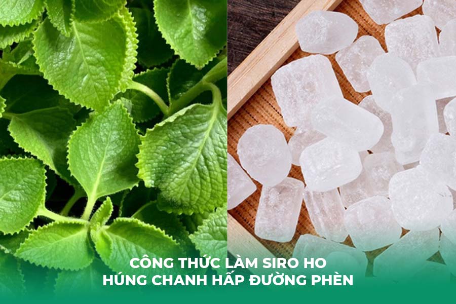 Công Thức Làm Siro Ho Húng Chanh Hấp Đường Phèn An Toàn Cho Phụ Nữ Mang Thai