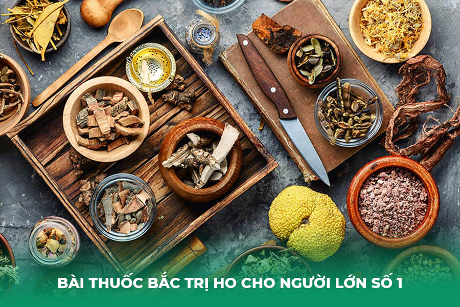 Bài thuốc Bắc trị ho cho người lớn số 1