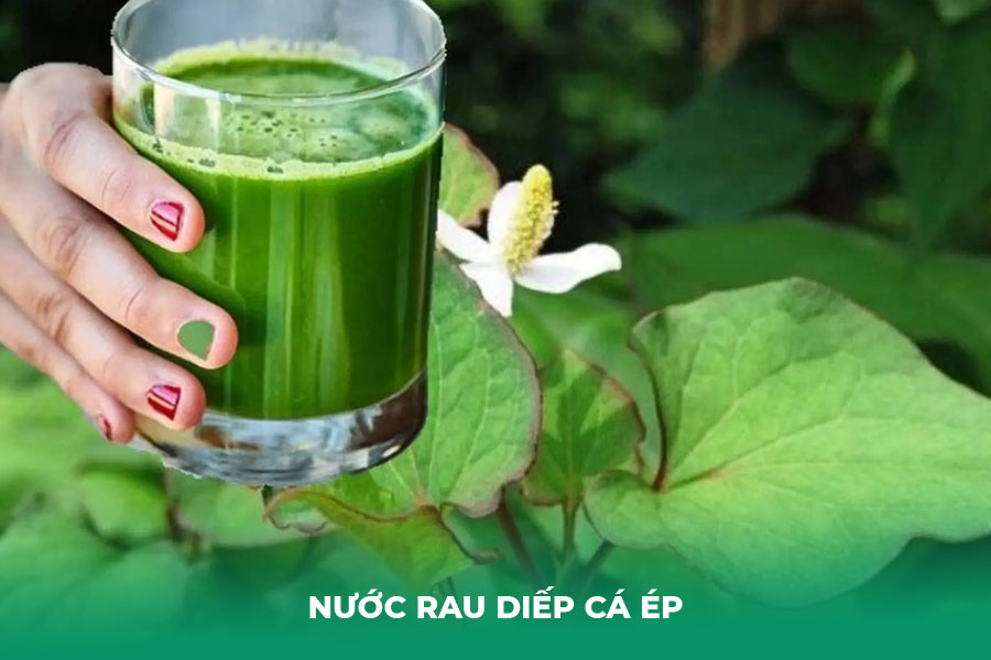 Nước rau diếp cá