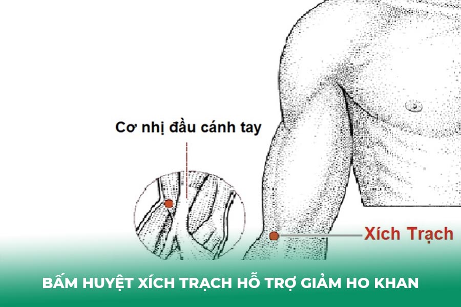 Bấm huyệt Xích Trạch hỗ trợ giảm ho khan