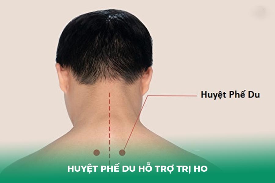 Huyệt Phế Du hỗ trợ trị ho