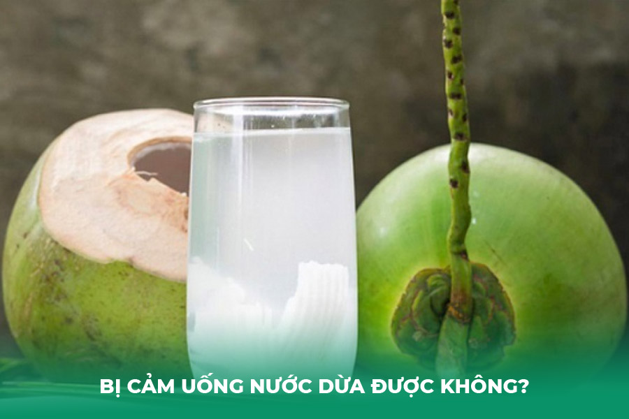 Bị Cảm Uống Nước Dừa Được Không?