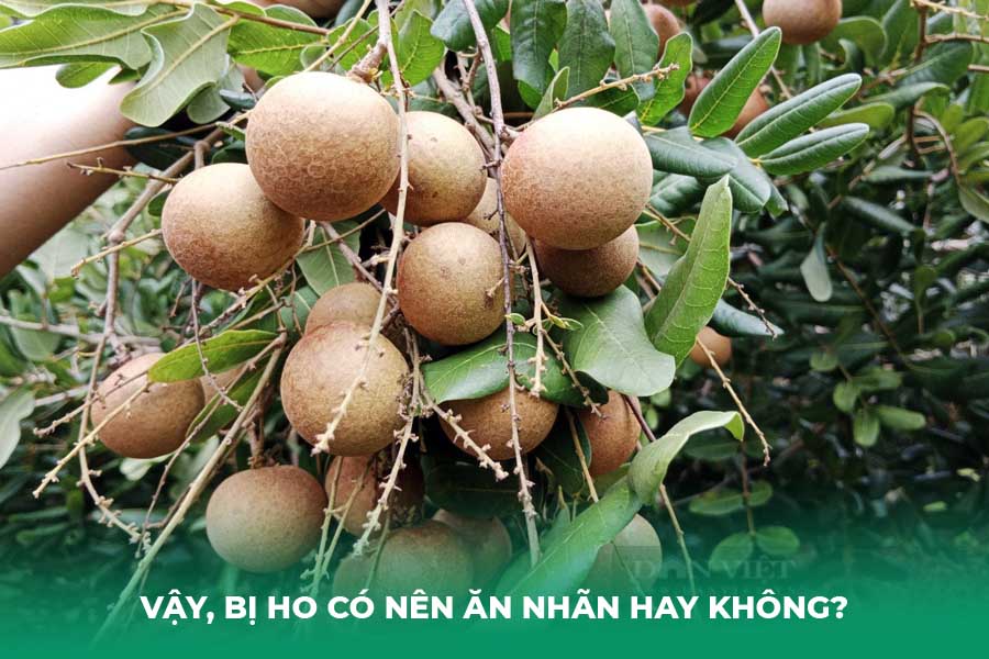 Vậy, Bị Ho Có Nên Ăn Nhãn Hay Không?
