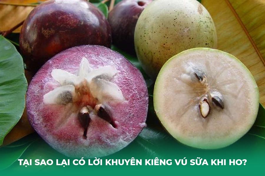 Tại Sao Lại Có Lời Khuyên Kiêng Vú Sữa Khi Ho?
