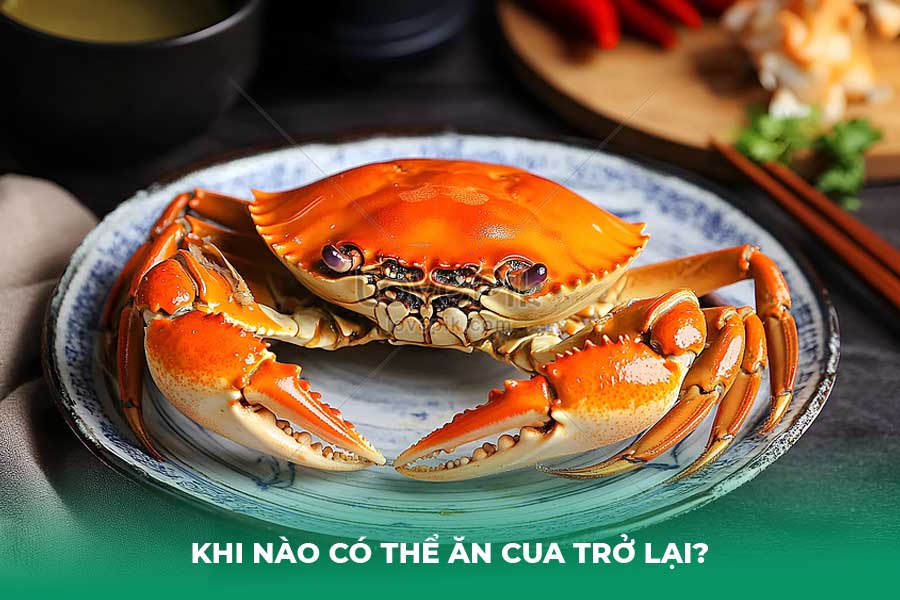 Khi Nào Có Thể Ăn Cua Trở Lại?