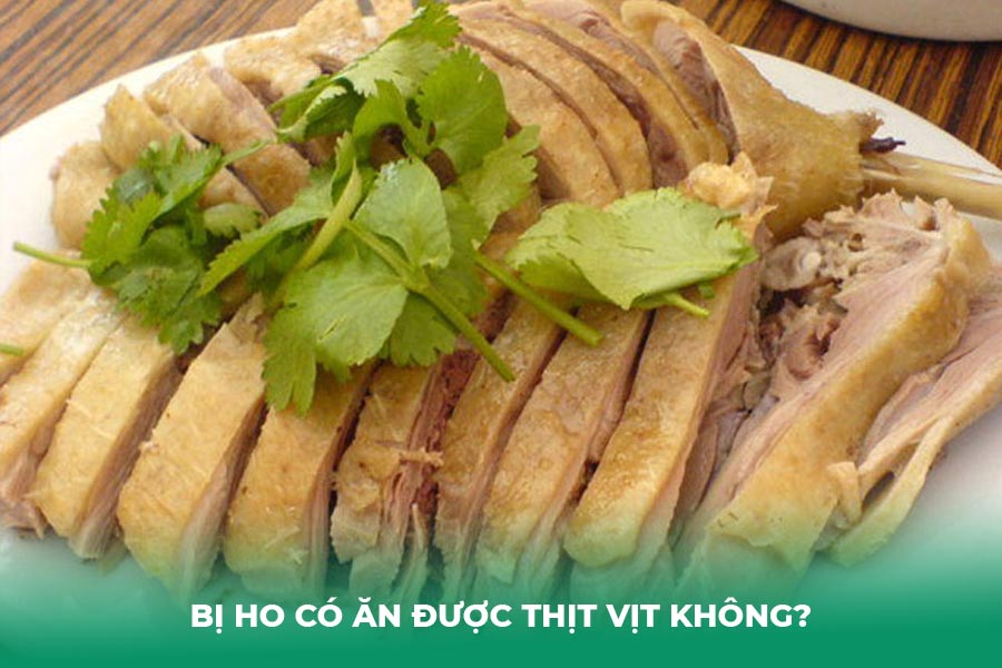 Bị Ho Có Ăn Được Thịt Vịt Không?