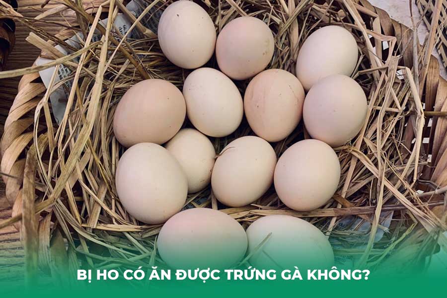 Bị Ho Có Ăn Được Trứng Gà Không?
