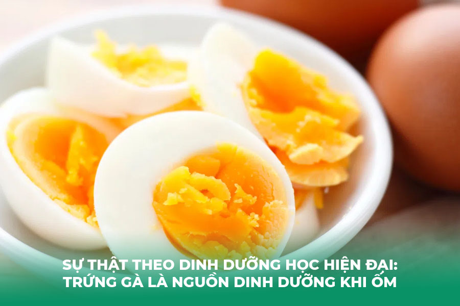 Sự Thật Theo Dinh Dưỡng Học Hiện Đại: Trứng Gà Là Nguồn Dinh Dưỡng Khi Ốm
