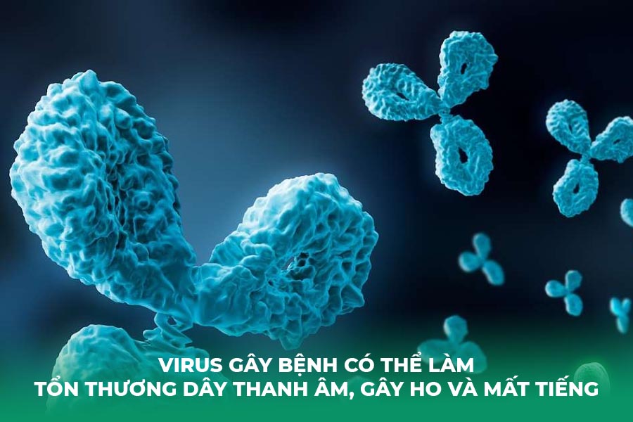 Virus gây bệnh có thể làm tổn thương dây thanh âm, gây ho và mất tiếng