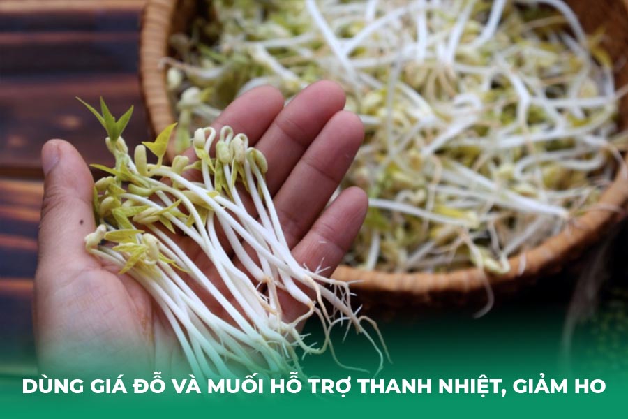 Dùng giá đỗ và muối hỗ trợ thanh nhiệt, giảm ho