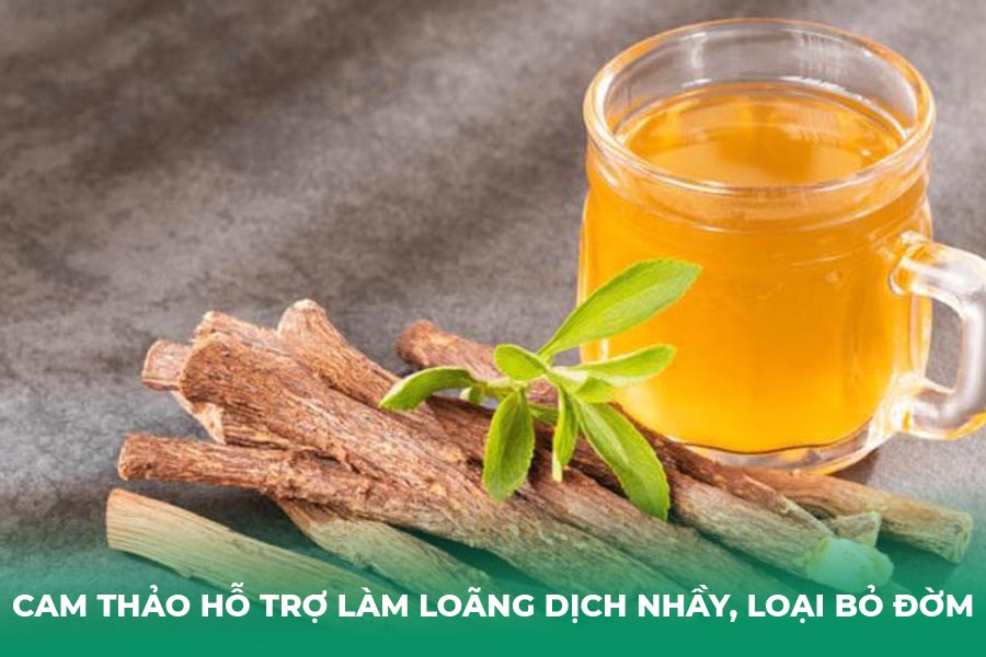 Cam Thảo hỗ trợ làm loãng dịch nhầy, loại bỏ đờm
