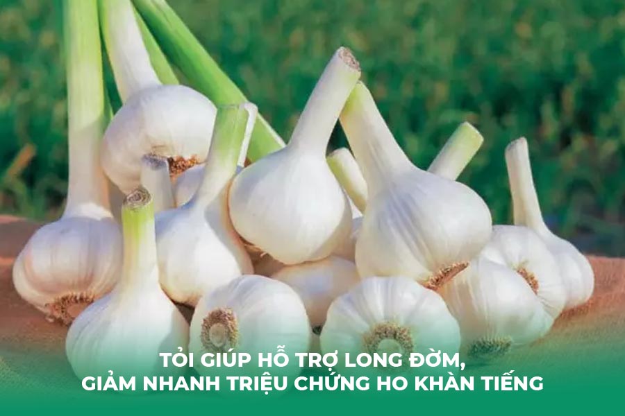 Tỏi giúp hỗ trợ long đờm, giảm nhanh triệu chứng ho khàn tiếng