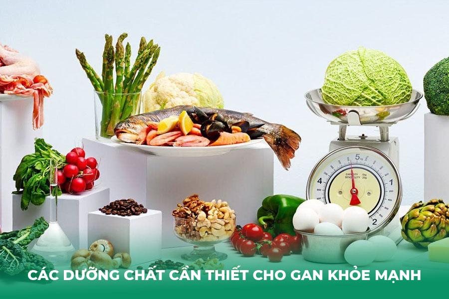 Các dưỡng chất cần thiết cho gan khỏe mạnh