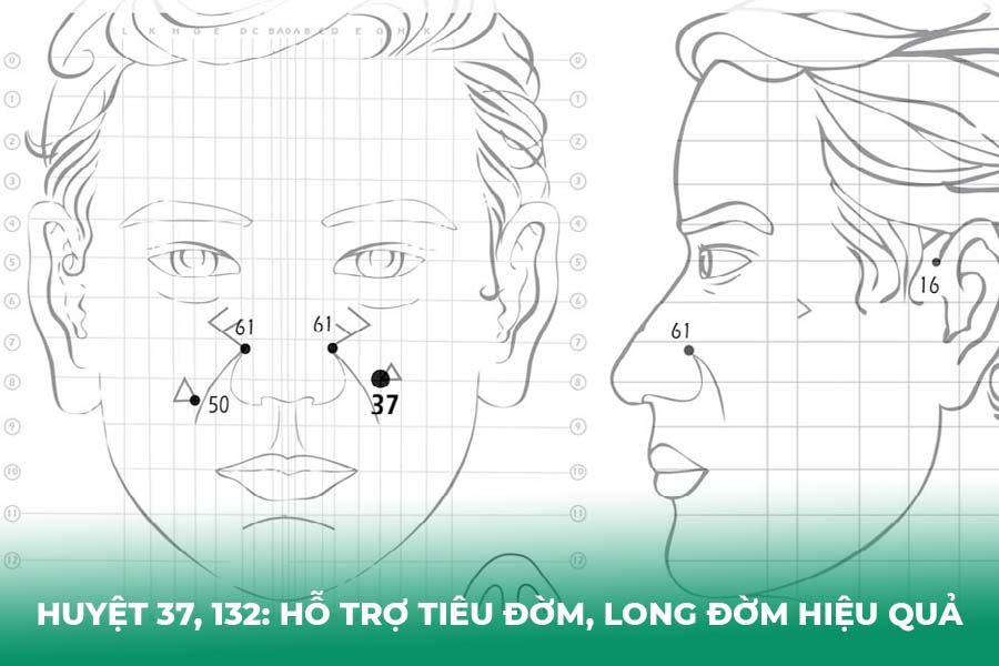 Huyệt 37, 132: Hỗ trợ tiêu đờm, long đờm hiệu quả