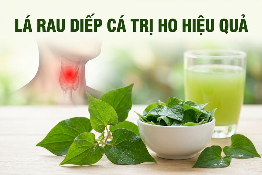 Lá rau diếp cá