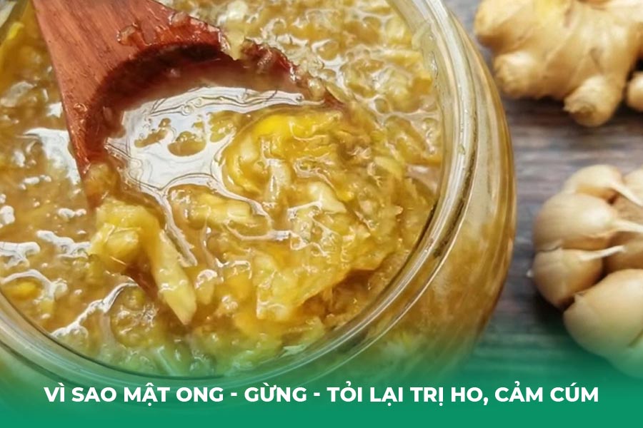 Vì Sao Mật Ong - Gừng - Tỏi Lại Trị Ho, Cảm Cúm Hiệu Quả?