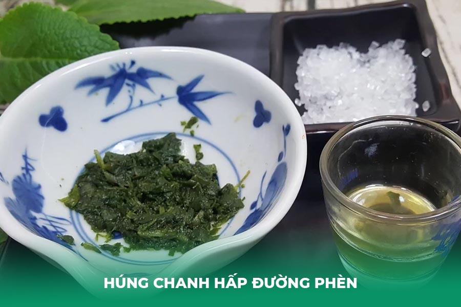 Húng Chanh Hấp Đường Phèn – Bài Thuốc 