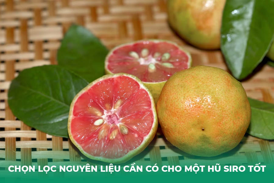 Chọn lọc nguyên liệu cần có cho một hũ siro tốt