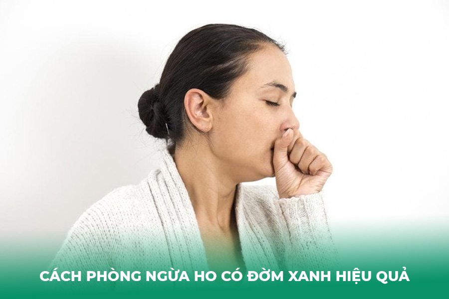 Cách Phòng Ngừa Ho Có Đờm Xanh Hiệu Quả: Cẩm Nang Bảo Vệ Hô Hấp