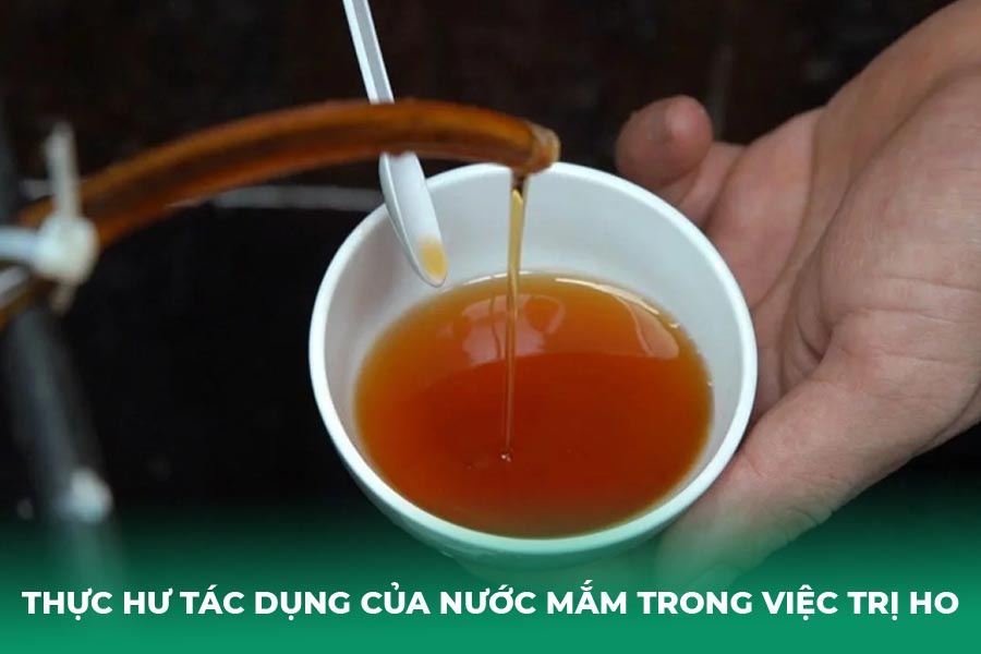 Thực hư tác dụng của nước mắm trong việc trị ho