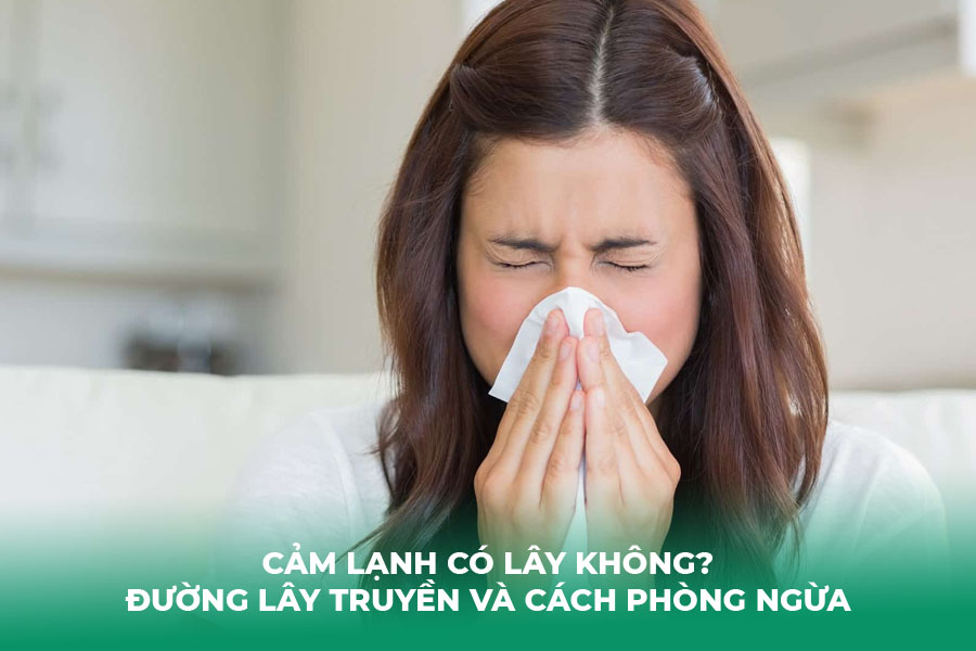 Cảm Lạnh Có Lây Không? Đường Lây Truyền Và Cách Phòng Ngừa Hiệu Quả