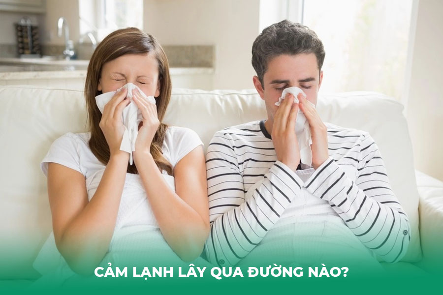 Cảm Lạnh Lây Qua Đường Nào?
