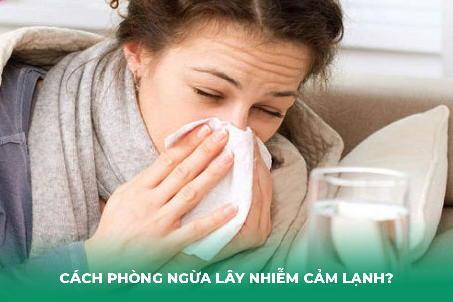Cách Phòng Ngừa Lây Nhiễm Cảm Lạnh