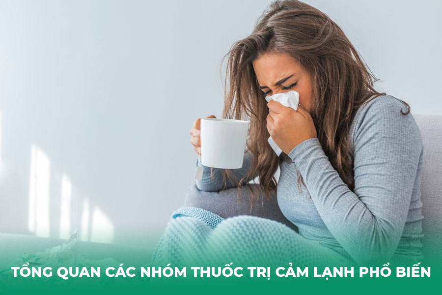 Tổng Quan Các Nhóm Thuốc Trị Cảm Lạnh Phổ Biến