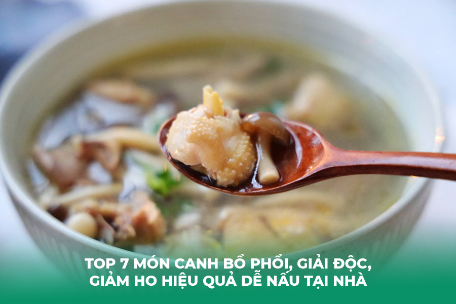 https://titafa.com/thong-tin-suc-khoe/top-7-mon-canh-bo-phoi-giai-doc-giam-ho-hieu-qua-de-nau-tai-nha-item703.html