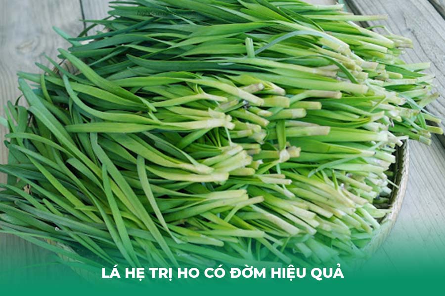 lá hẹ