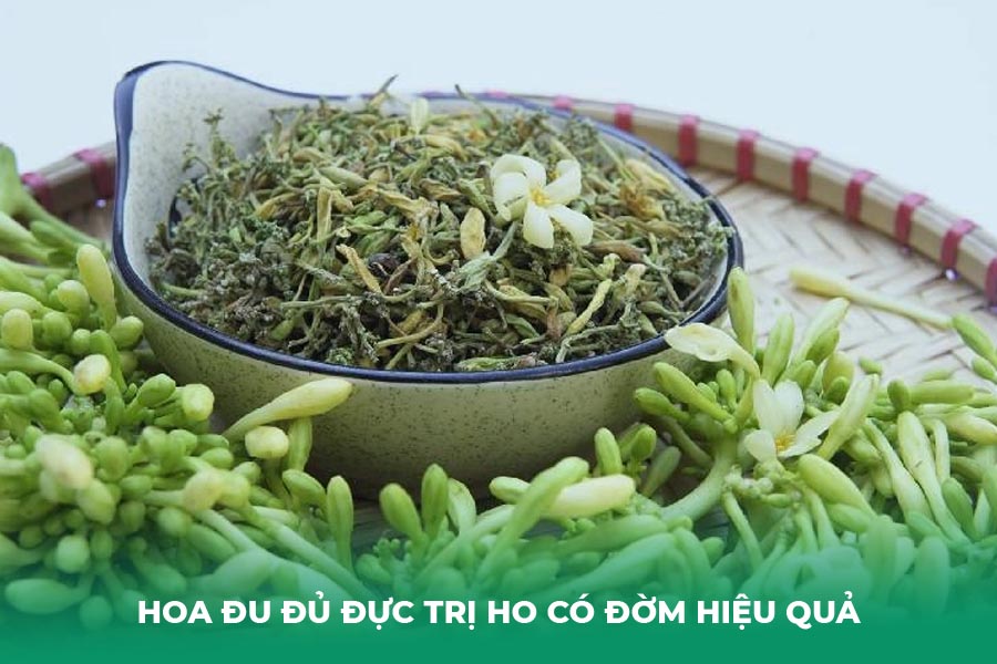 hoa đu đủ đực