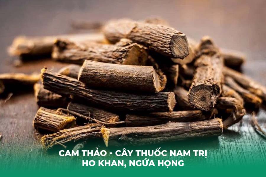 Cam Thảo