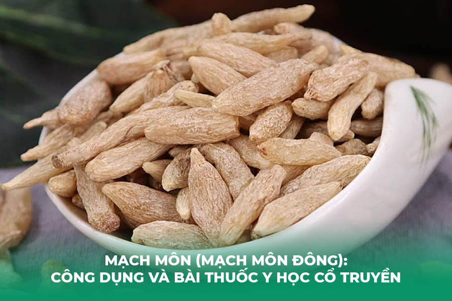 Mạch Môn (Mạch Môn Đông): Công Dụng Và Bài Thuốc Y Học Cổ Truyền