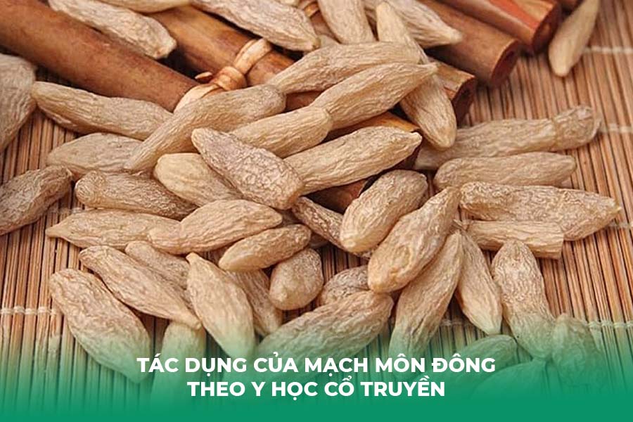 Tác dụng của mạch môn đông theo Y học cổ truyền