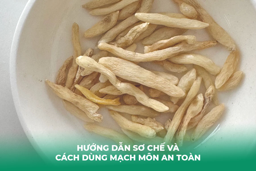 Hướng dẫn sơ chế và cách dùng mạch môn an toàn