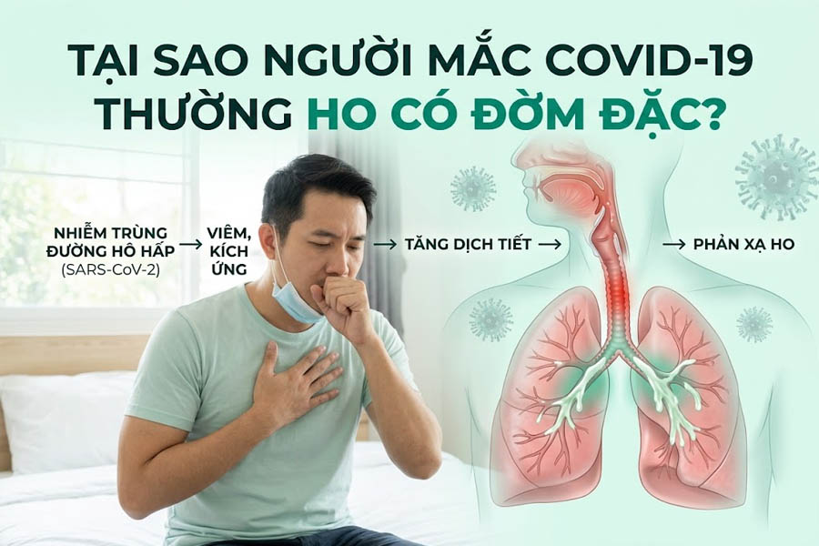 Tại sao người mắc Covid-19 thường ho có đờm đặc?