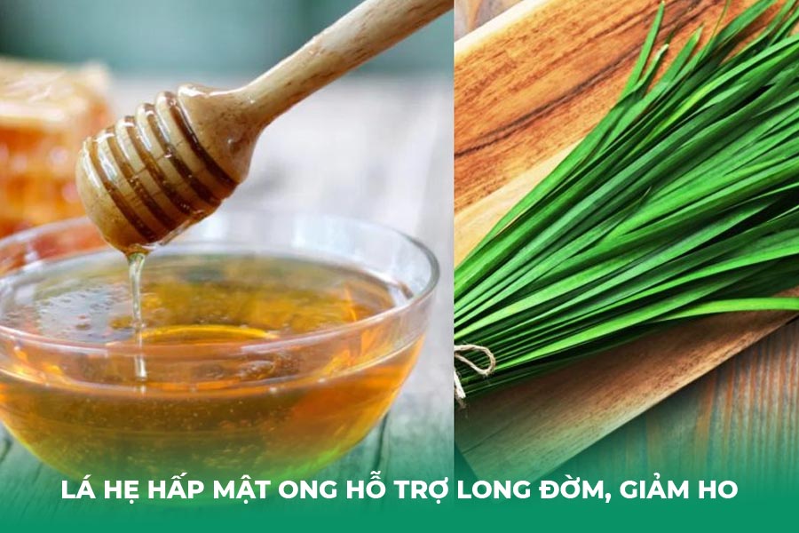 Lá hẹ hấp mật ong hỗ trợ long đờm, giảm ho