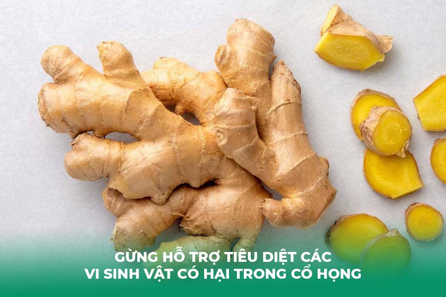 Gừng hỗ trợ tiêu diệt các vi sinh vật có hại trong cổ họng