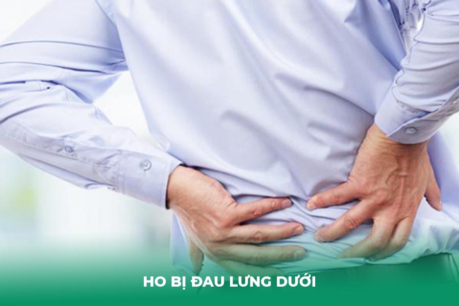 Ho bị đau lưng dưới