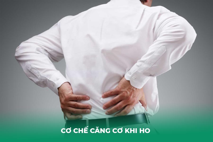 Cơ chế căng cơ khi ho 