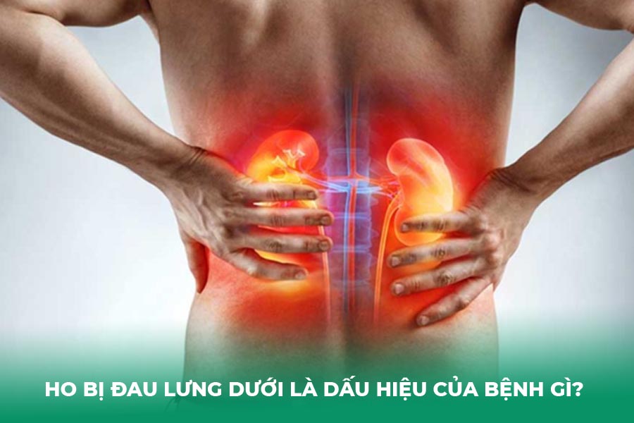 Ho bị đau lưng dưới là dấu hiệu của bệnh gì? 