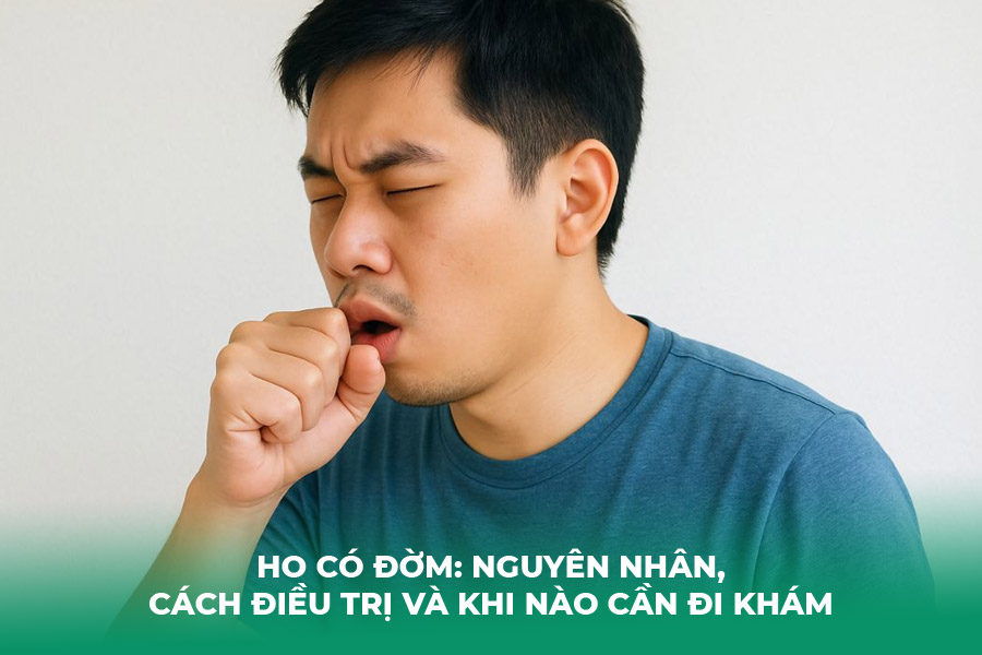 Ho có đờm: Nguyên nhân, cách điều trị và khi nào cần đi khám
