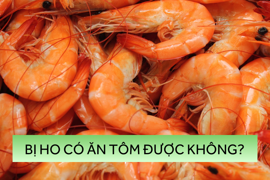 bị ho có ăn được tôm không