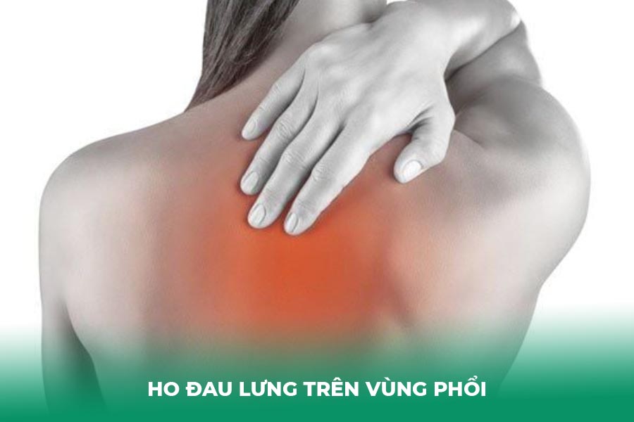 Ho đau lưng trên vùng phổi