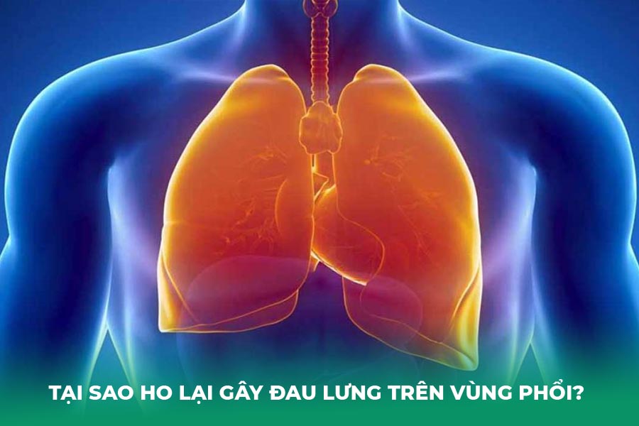 Bệnh lý về phổi 