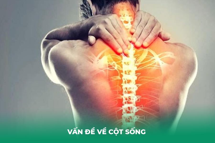 Vấn đề về cột sống 