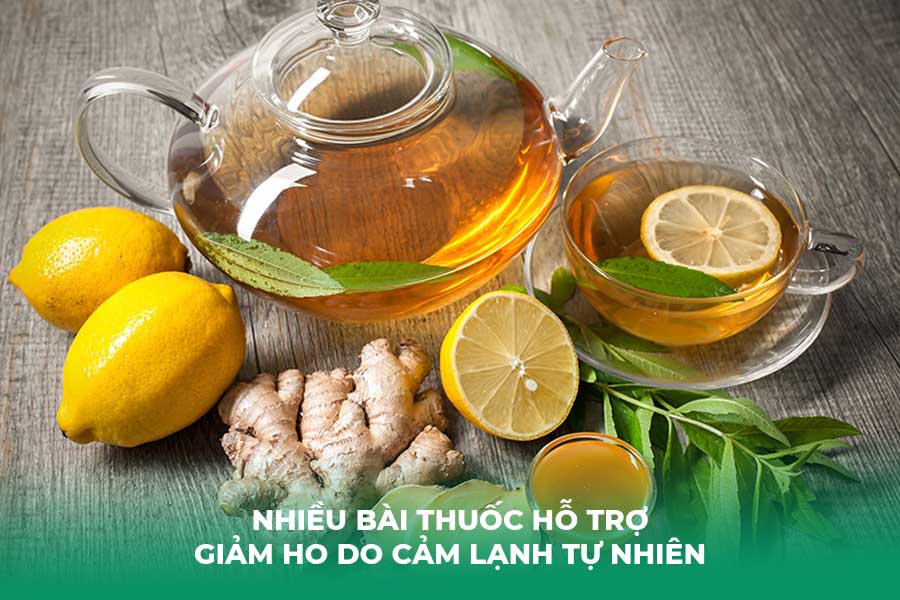 Nhiều bài thuốc hỗ trợ giảm ho do cảm lạnh tự nhiên