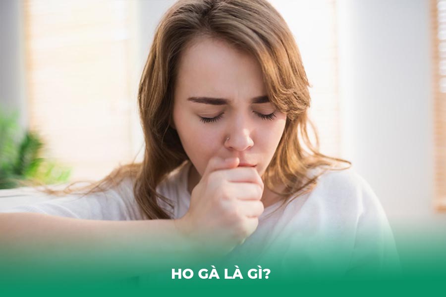 Ho gà 