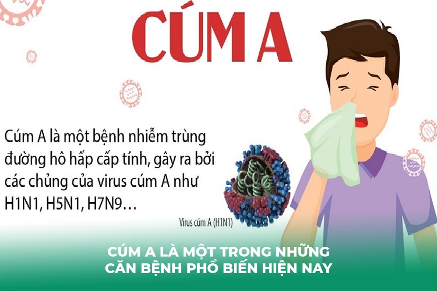 Cúm A là một trong những căn bệnh phổ biến hiện nay